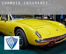 Chamois  insurance