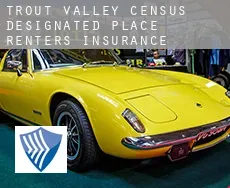 Trout Valley renters insurance