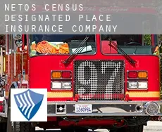 Netos  insurance company