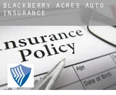 Blackberry Acres  auto insurance