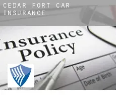 Cedar Fort  car insurance