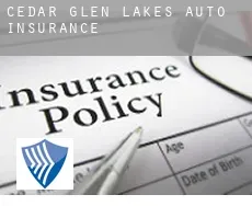 Cedar Glen Lakes  auto insurance