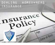 Dowling  homeowners insurance