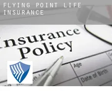 Flying Point  life insurance
