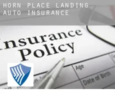 Horn Place Landing  auto insurance
