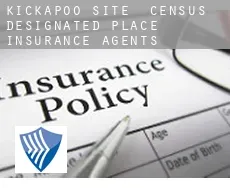 Kickapoo Site 6  insurance agents