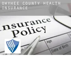 Owyhee County  health insurance