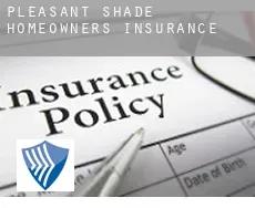 Pleasant Shade  homeowners insurance