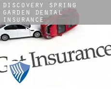 Discovery-Spring Garden  dental insurance