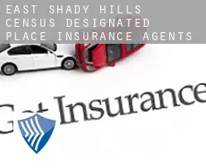 East Shady Hills  insurance agents