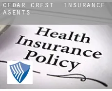 Cedar Crest  insurance agents