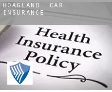 Hoagland  car insurance