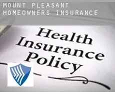 Mount Pleasant  homeowners insurance