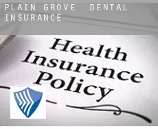 Plain Grove  dental insurance