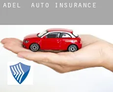 Adel  auto insurance