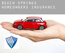 Beech Springs  homeowners insurance