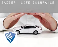 Badger  life insurance