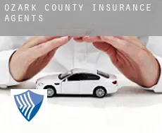 Ozark County  insurance agents