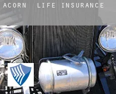Acorn  life insurance