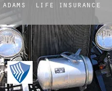 Adams  life insurance