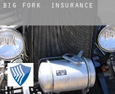 Big Fork  insurance