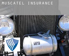 Muscatel  insurance