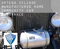 Ortega Village Manufactured Home Community  car insurance