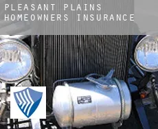 Pleasant Plains  homeowners insurance