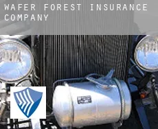Wafer Forest  insurance company