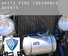 White Pine insurance agents