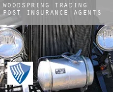 Woodspring Trading Post  insurance agents