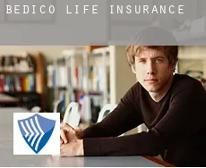 Bedico  life insurance