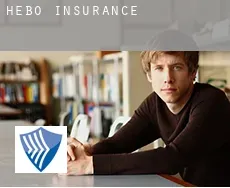 Hebo  insurance