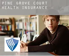 Pine Grove Court  health insurance