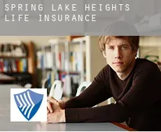 Spring Lake Heights  life insurance