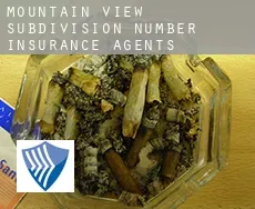 Mountain View Subdivision Number 13  insurance agents