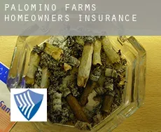 Palomino Farms  homeowners insurance