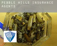 Pebble Hills  insurance agents