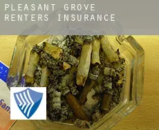 Pleasant Grove  renters insurance