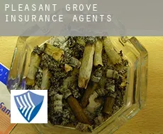 Pleasant Grove  insurance agents