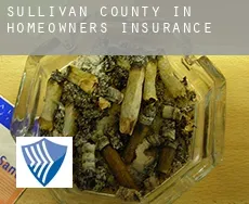 Sullivan County  homeowners insurance
