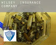 Wilsey  insurance company