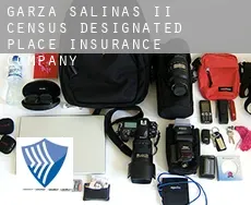 Garza-Salinas II  insurance company