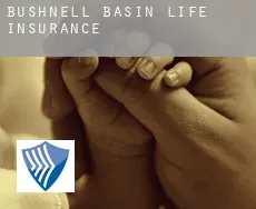 Bushnell Basin  life insurance