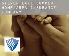 Silver Lake Summer Home Area  insurance company