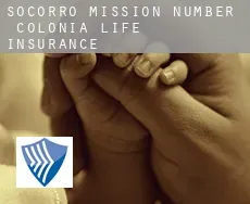 Socorro Mission Number 1 Colonia  life insurance