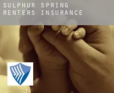 Sulphur Spring  renters insurance