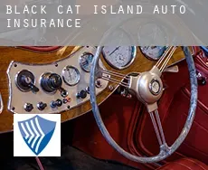 Black Cat Island  auto insurance