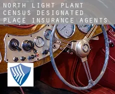 North Light Plant  insurance agents