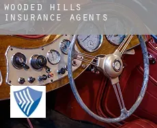 Wooded Hills  insurance agents